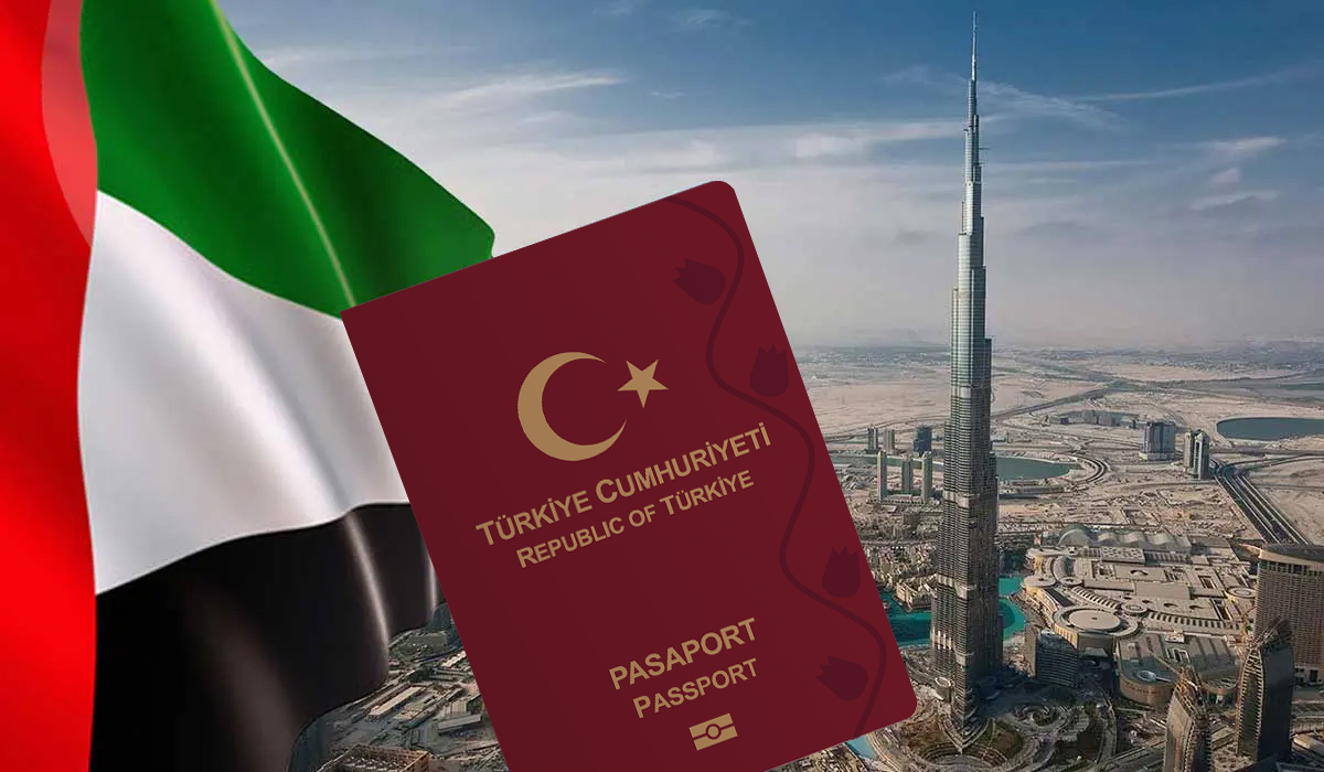 Immiex image